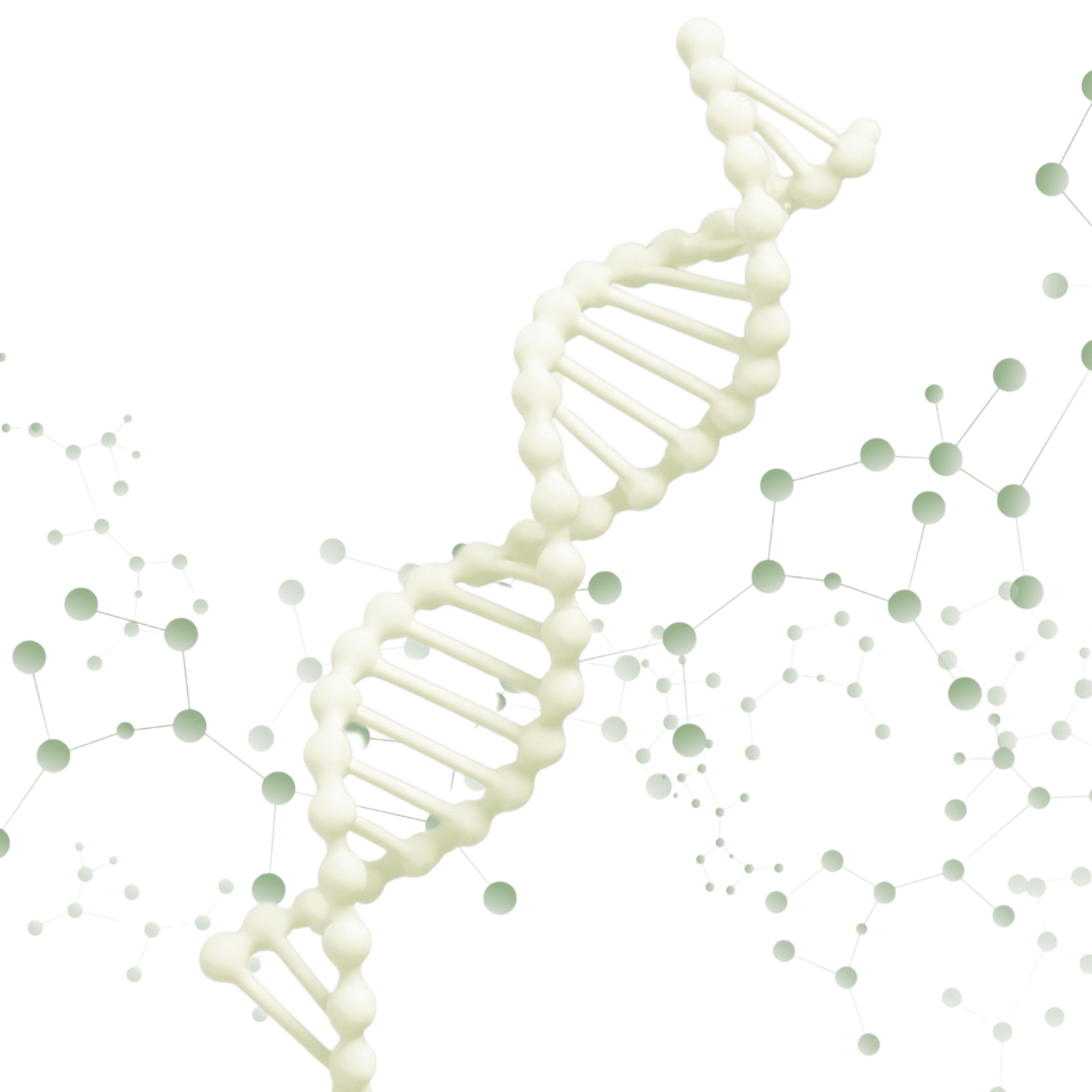 Visualización de una doble hélice de ADN para el análisis de ADN de Gentastic